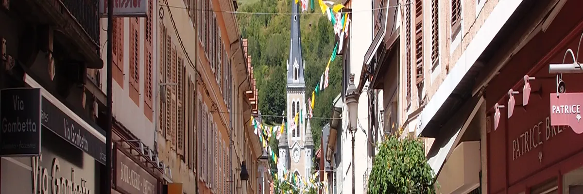 Image Installation monte-escalier Albertville
