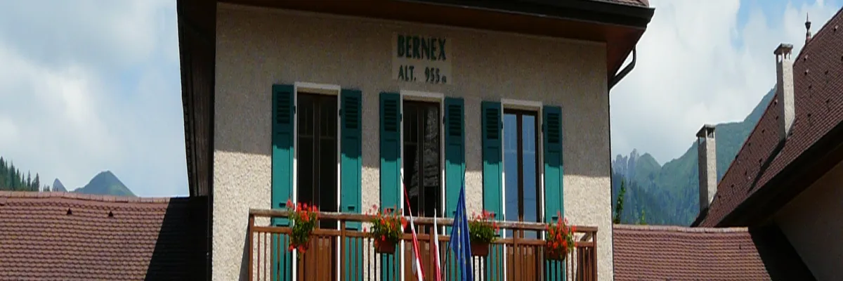 Image Installation monte-escalier Bernex