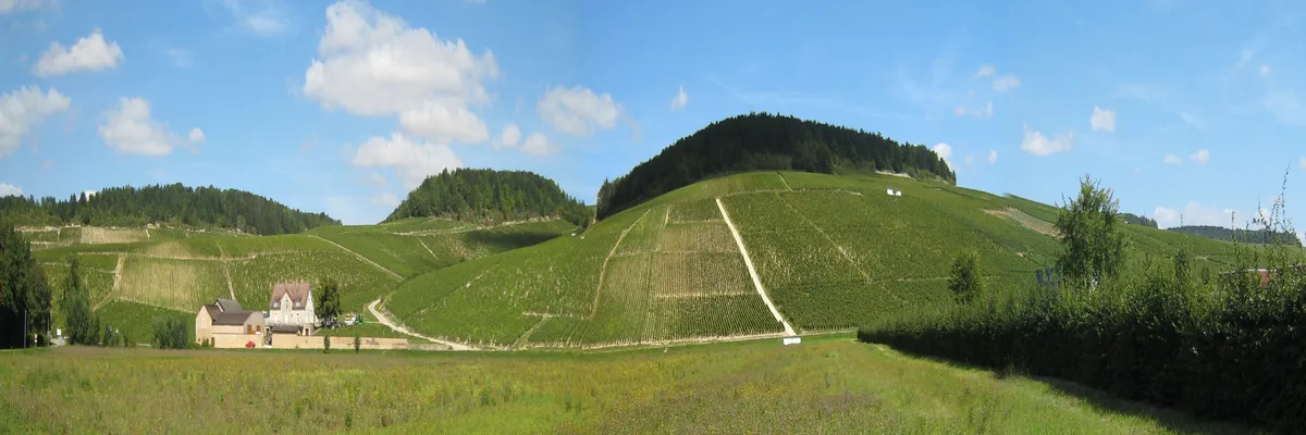 Image Installation monte-escalier Bourgogne-Franche-Comté