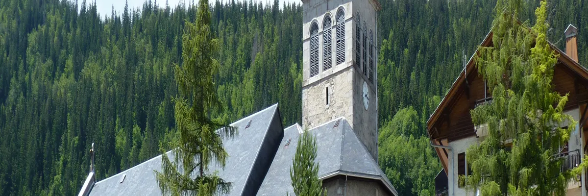 Image Installation monte-escalier Le Grand-Bornand