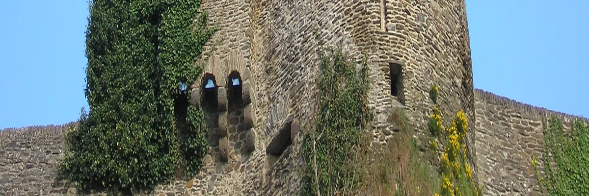 Image Installation monte-escalier Saint-Lô