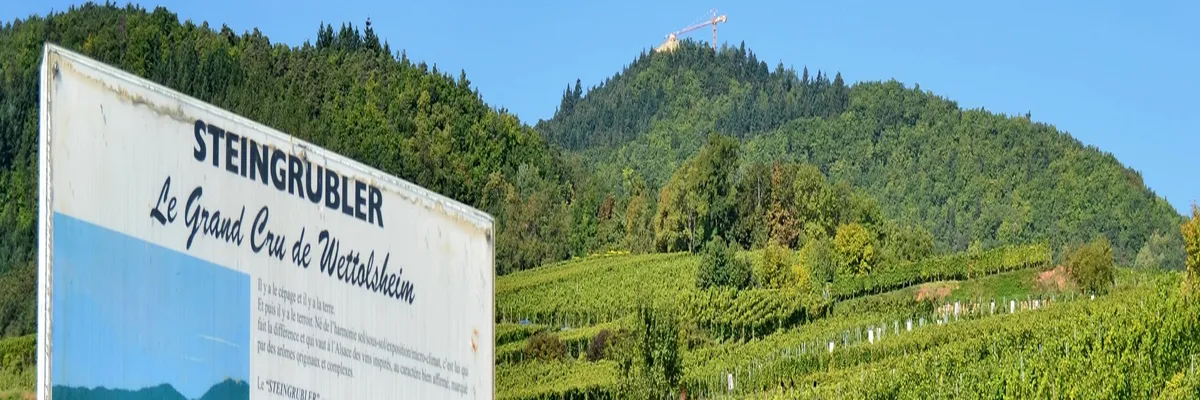 Image Installation monte-escalier Wettolsheim