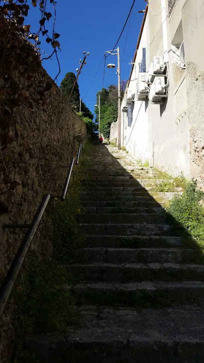 Image de Escaliers du Mont Saint-Clair