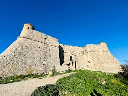Image de Fort du Mont Alban