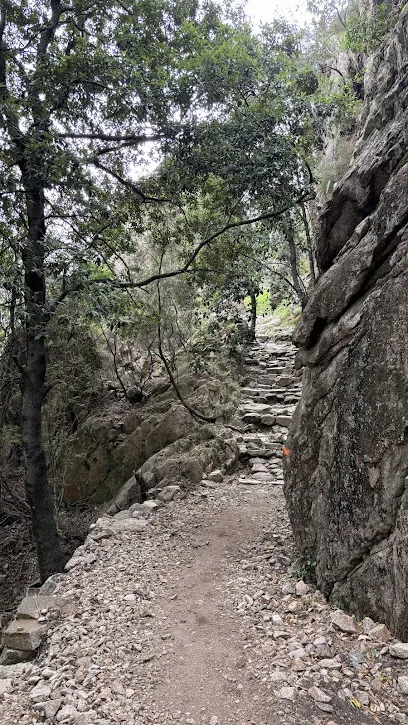 Image de L’escalier de Napoleon Bonaparte