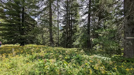 Image de Télésiège Chabrières