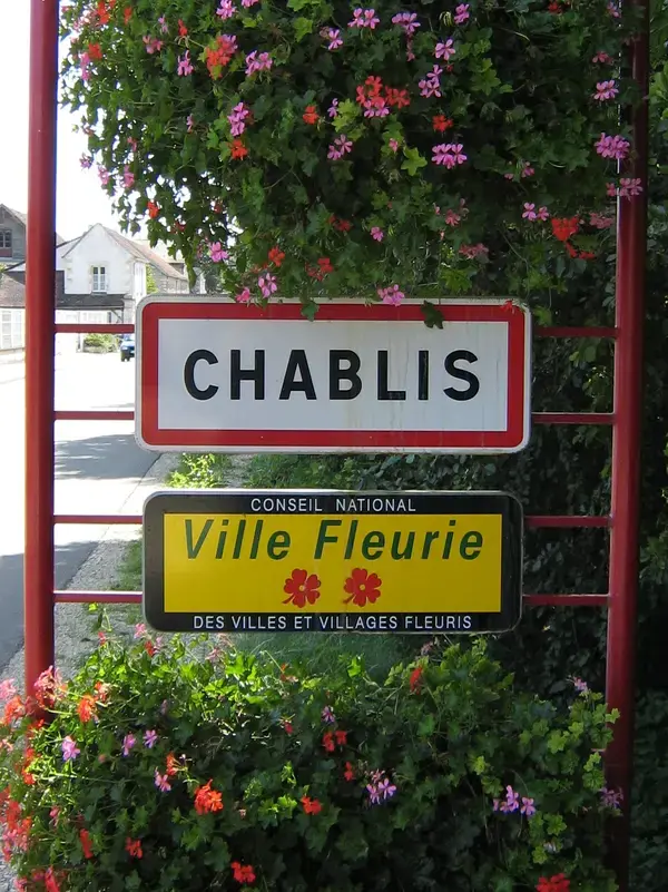 Le Monte-Escalier Installation monte-escalier Chablis