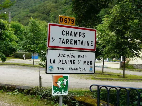 Le Monte-Escalier Installation monte-escalier Champs-sur-Tarentaine-Marchal