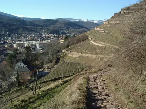 Le Monte-Escalier Installation monte-escalier Guebwiller