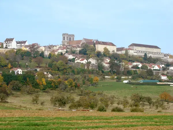 Le Monte-Escalier Installation monte-escalier Langres