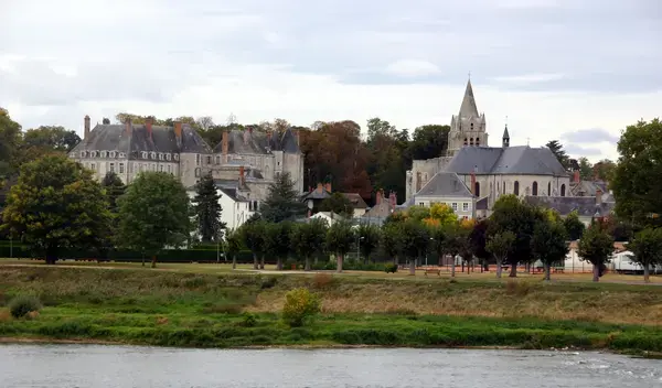 Le Monte-Escalier Installation monte-escalier Meung-sur-Loire