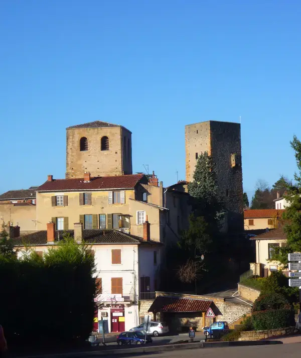 Le Monte-Escalier Installation monte-escalier Saint-Cyr-au-Mont-d'Or