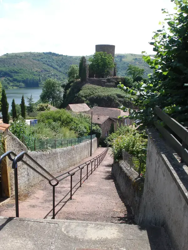 Le Monte-Escalier Installation monte-escalier Saint-Jean-Saint-Maurice-sur-Loire