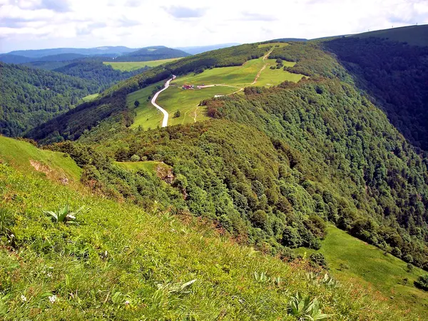 Le Monte-Escalier Installation monte-escalier Vosges